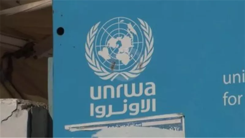 منظمة القانون من أجل فلسطين: العداء الإسرائيلي تجاه الأونروا ليس جديدا 