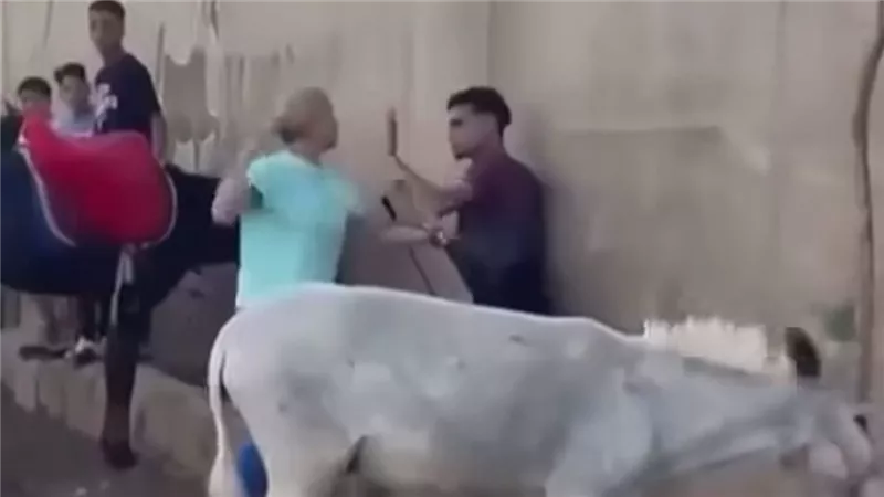 سائحة تتشاجر مع سائس في نزلة السمان بسبب اعتداءه على حمار بالكرباج
