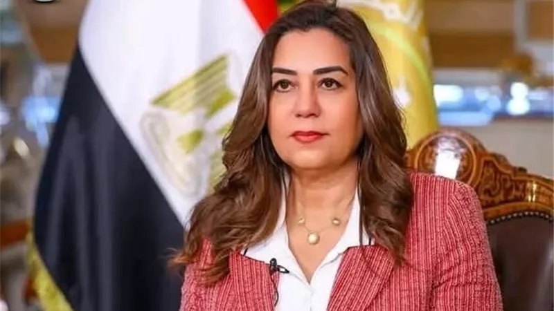 التنمية المحلية: 1.4 مليون فرصة عمل للشباب في مختلف المحافظات |  تفاصيل