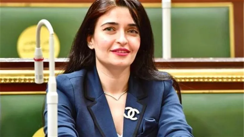 إيرين سعيد تكشف لـ «نيوز رووم» خطة عمل لجنة الصحة بمجلس النواب