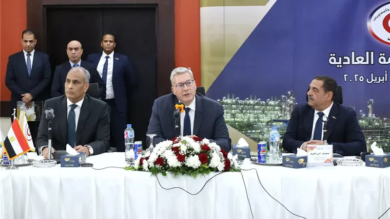 2.5 مليار جنيه أرباح سيدبك في 2024.. واستثمارات نوعية للتوسع والتصدير