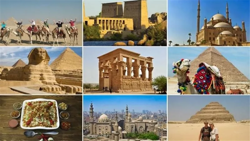 أماكن في مصر تجمع بين الترفيه والتعليم.. دليلك لتثقيف أطفالك في الإجازة