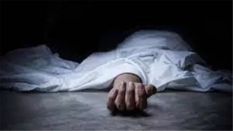 ضربه بالفأس.. مقتل شخص على يد آخر بقرية دراجيل في المنوفية