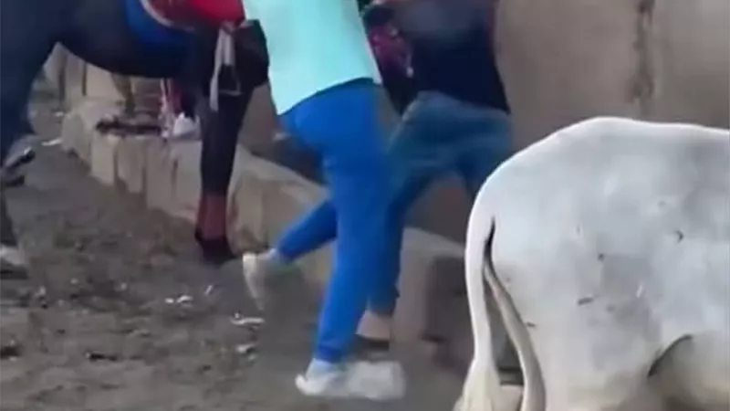 استدعاء صاحب 