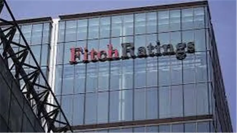 فيتش: 45.5 مليار دولار احتياطي نقدي و15 مليار استثمارات أجنبية متوقعة لمصر