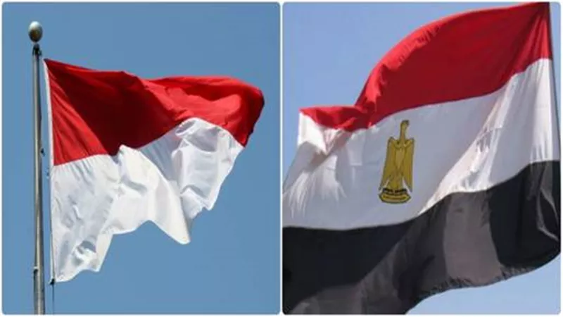 “المصري للشؤون الخارجية”: العلاقات المصرية الإندونيسية مرشحة لتحقيق طفرة