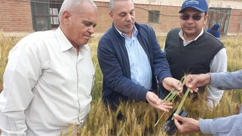  أنشطة بحثية وإرشادية مكثفة تعكس حيوية مركز البحوث الزراعية