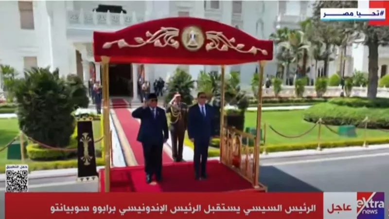 الرئيس السيسي ونظيره الإندونيسي يستعرضان حرس الشرف بالاتحادية | فيديو