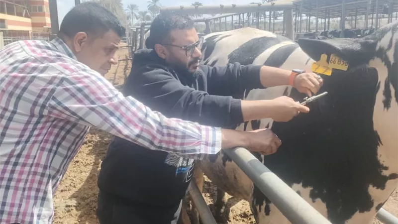 محافظ الإسماعيلية يتابع  نشاط مديرية الطب البيطري للحفاظ على الثروة الحيوانية