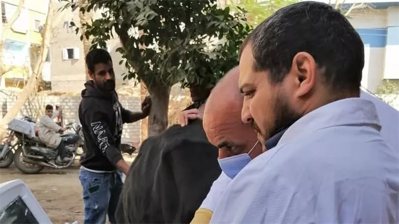 المنيا تُطلق مشروعًا قوميًا لتحسين نسل الماشية وخدمة 41 ألف رأس