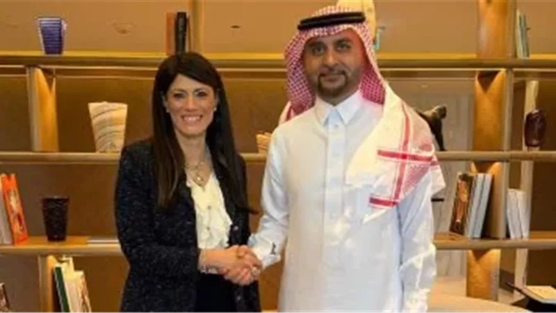 مدير 