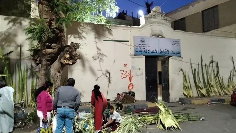 احتفالا بأحد الشعانين.. باعة السعف يزينون شوارع بني سويف بأشكال السعف