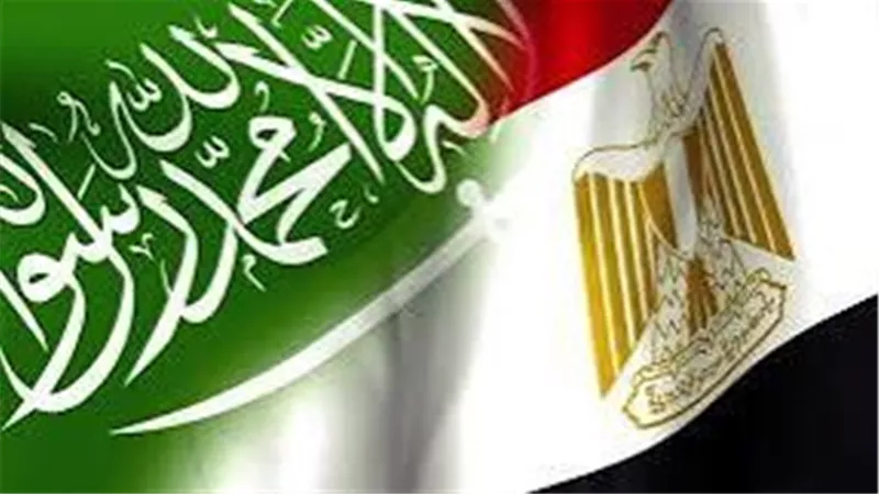 دلالات زيارة 100 مستثمر سعودى لمصر.. اقتصاديون يوضحون لـ «نيوز رووم»