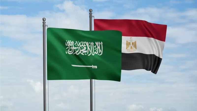 يلتقون أعضاء الحكومة ونواب..  ننشر أجندة زيارة 100 مستثمر سعودي إلى مصر| خاص