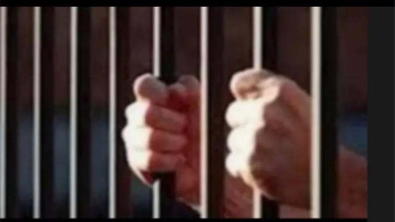 جنايات دمنهور تحكم بالسجن 3 سنوات على شقيقين لتسببهما في وفاة جارهما