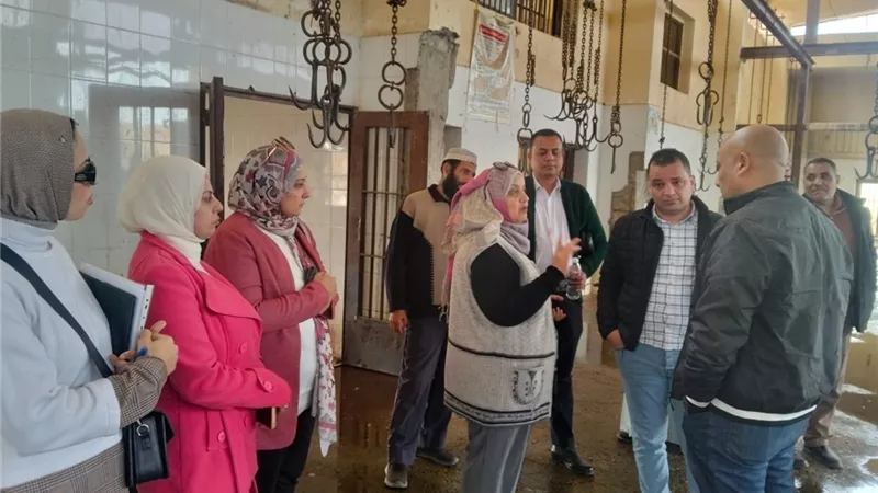 حملة مكبرة على المجازر والهايبرات ببني سويف لضمان سلامة اللحوم قبل رمضان