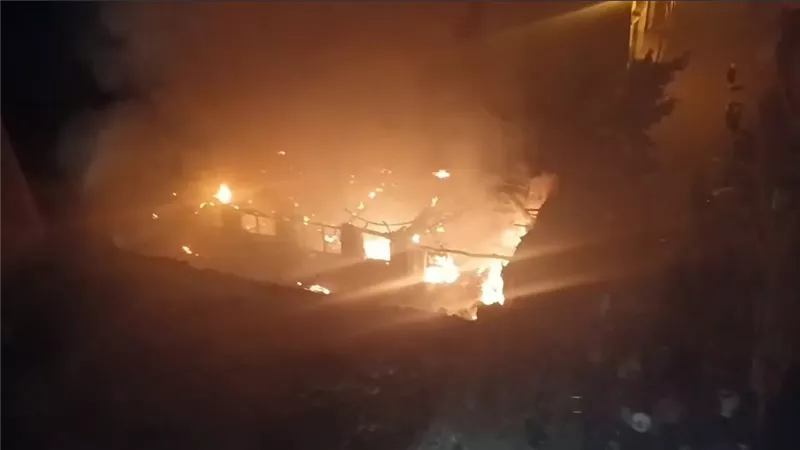 نفوق ثلاثة مواشي اثر حريق فى حظيرة بمدينة منوف بالمنوفية