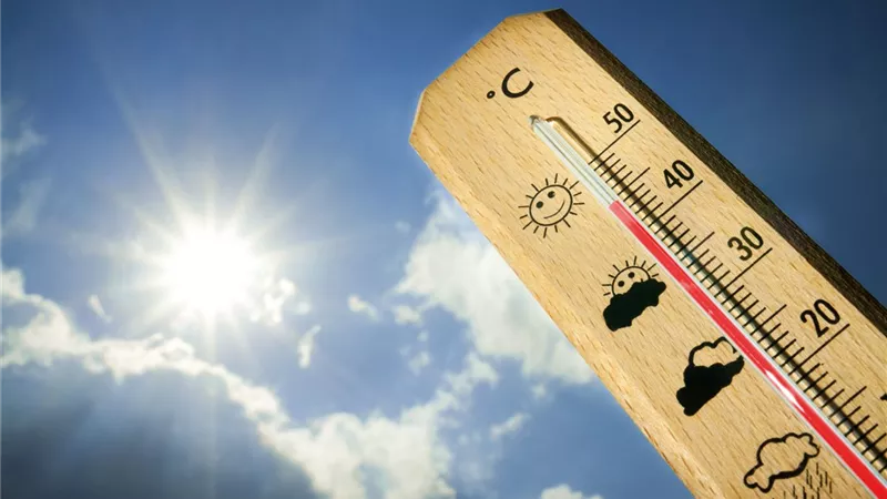 حالة الطقس اليوم غدا الثلاثاء 17 مارس.. مائل للحرارة نهارًا وبارد ليلاً