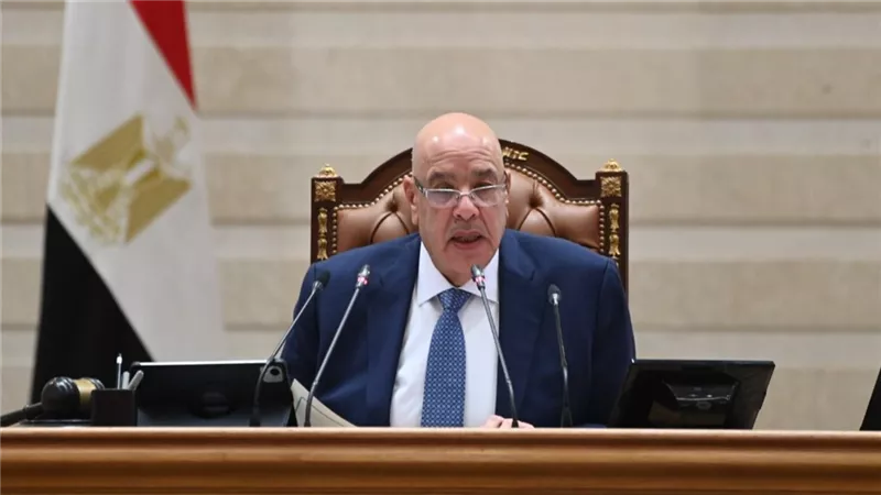 رئيس مجلس النواب: اجتماع القاهرة للمحاكم الدستورية. أصبح ركيزة أساسية 