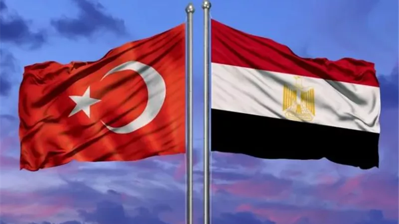 أحمد باشا يكتب: مصر وتركيا.. تحالف الجغرافيا والمدافع