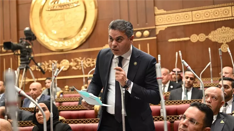 تحرك برلماني لتحديث أدوات التواصل مع المصريين بالخارج