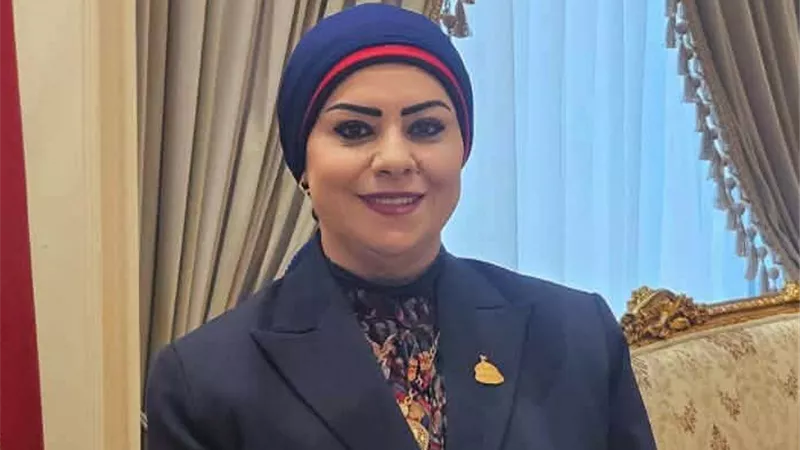 النائبة جيهان تطالب محافظ الإسماعيلية بصيانة إنارة طريق قرية النصر