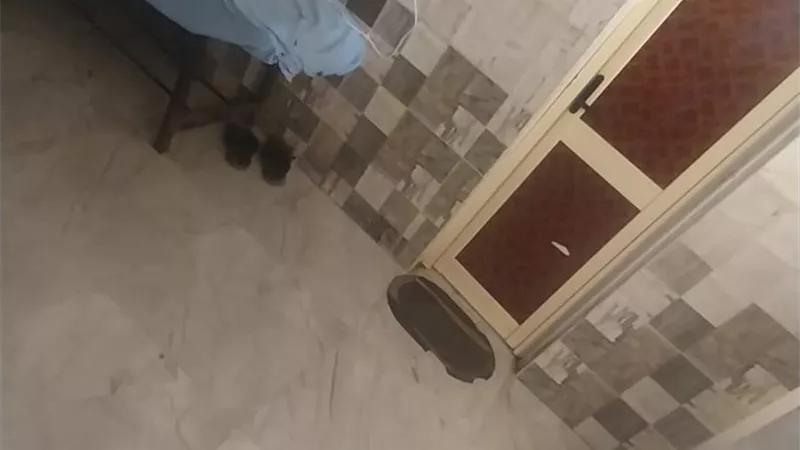 ضبط طاقم تمريض غير مؤهل يدير مركز حضانات غير مرخص في بني سويف