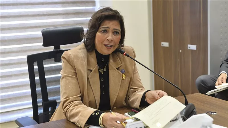 برئاسة راندا مصطفى.. «تضامن النواب» تحدد أولوياتها في دور الانعقاد الثاني