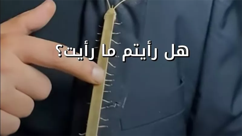أم أربعة وأربعين أصبحت موضة.. مصمم اكسسوارات يصنع بروشات من الحشرات الحية