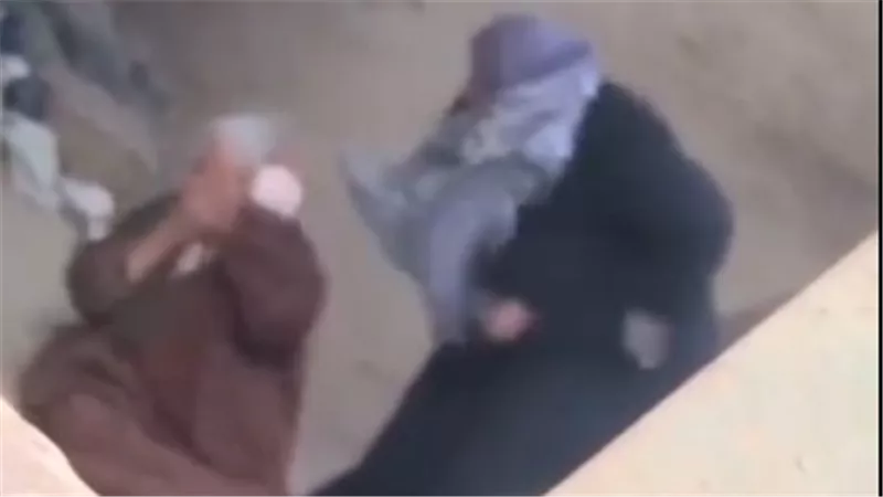 «فيديو» يوثق لحظة تعدي سيدة على والدتها العجوز وسط الشارع بالشرقية
