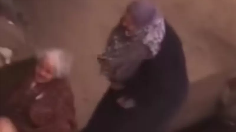 الأمن يضبط 