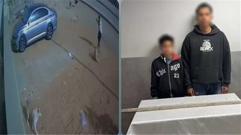 بسبب أكل الطيور.. القبض على شخصين بتهمة قتل كلب ضال بأكتوبر