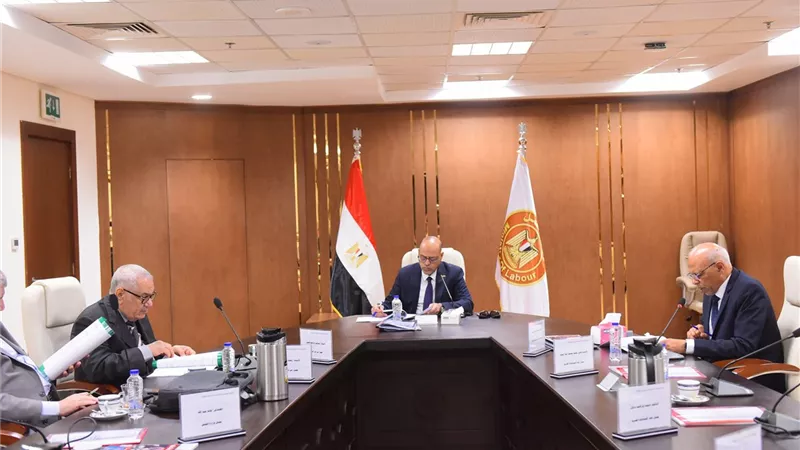 العمل: 374 مليونًا و 300 ألف جنيه لدعم منظومة 
