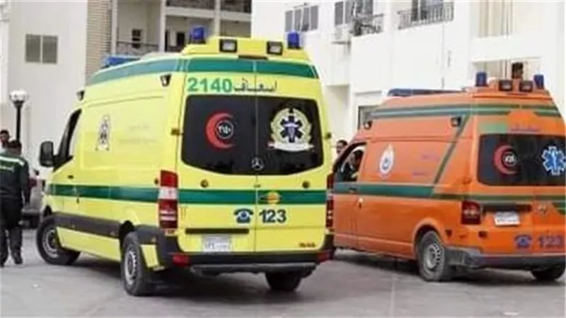 إصابة سيدة وطفلتيها بتسمم غذائي بسبب هريسة فاسدة في البحيرة