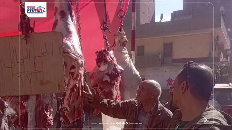 بيطري المنيا: ضبط أكثر من 3 أطنان لحوم غير صالحة ومذبوحة خارج المجازر 