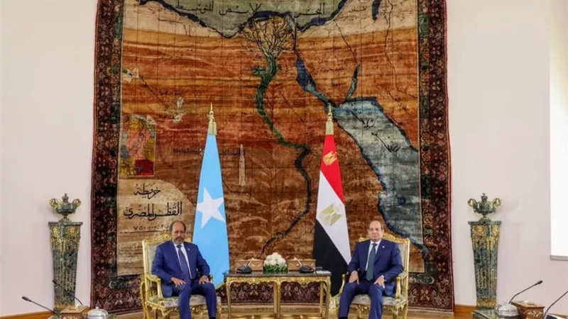 السيسي يشدد على أهمية تفعيل إعلان الشراكة الاستراتيجية الموقع في يناير ٢٠٢٥