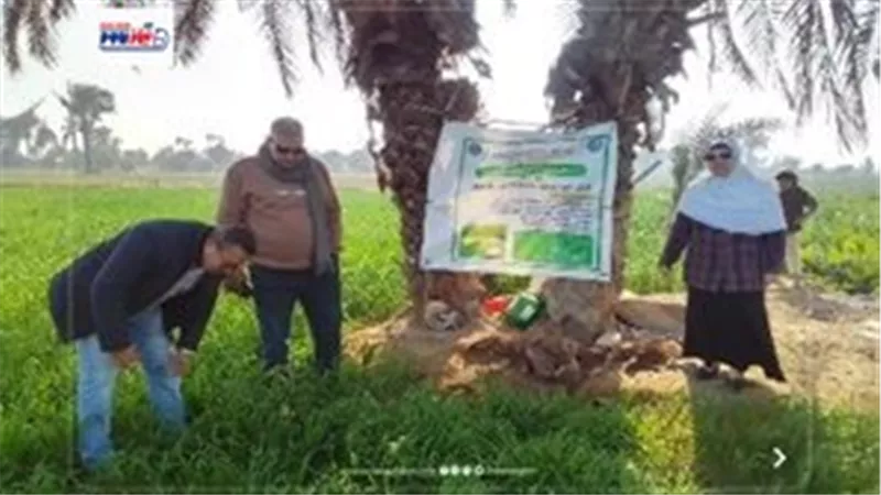 محافظ الفيوم يتابع جهود دعم المزارعين وتعزيز التنمية الزراعية