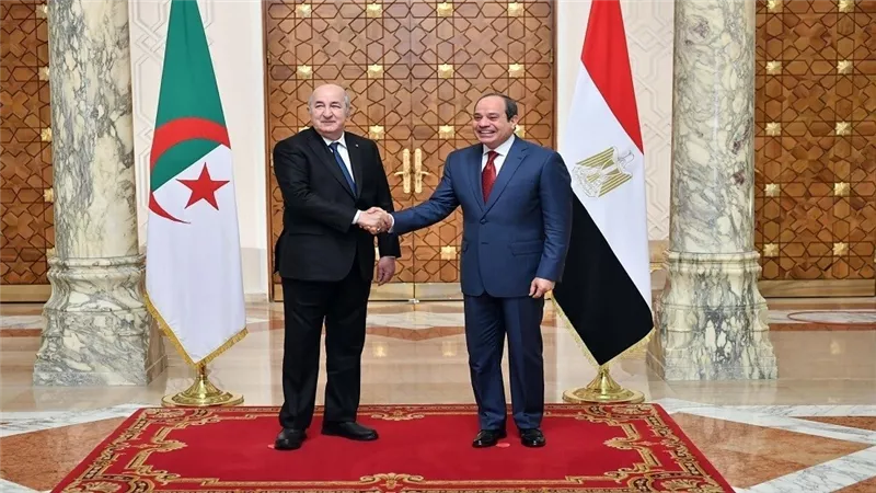 «تبون»: الرئيس السيسي أخ لي والجزائر تقف دائما بجانب مصر