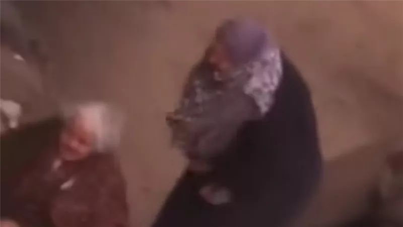 حبس المتهمة بضرب والدتها المسنة بالشرقية 4 أيام على ذمة التحقيقات
