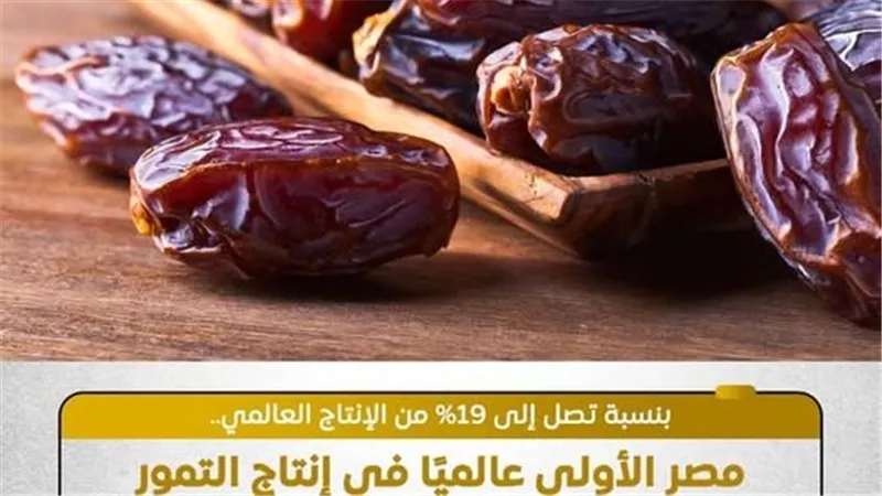 بإنتاج سنوي 2 مليون طن.. مصر تحتل المرتبة الأولى عالميًا في إنتاج التمور