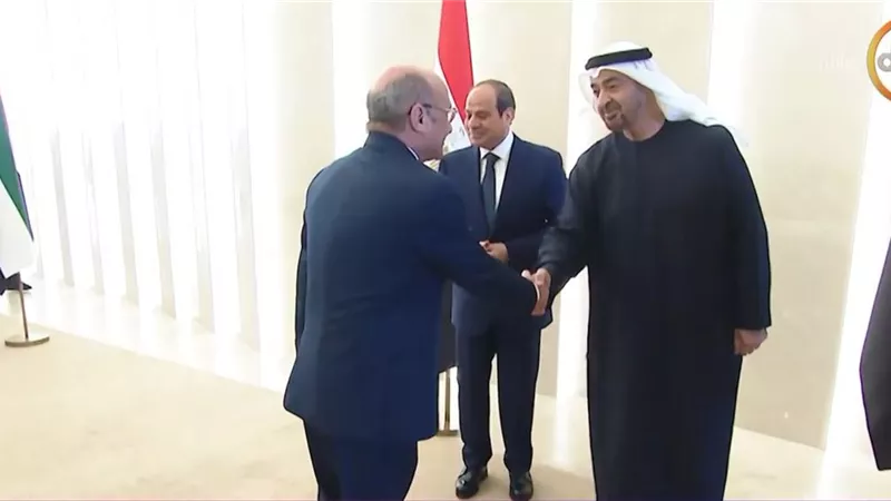 خبير: تحركات مصر الإقليمية تعكس دبلوماسية سلام ورفضًا لفرض الأمر الواقع بالقوة