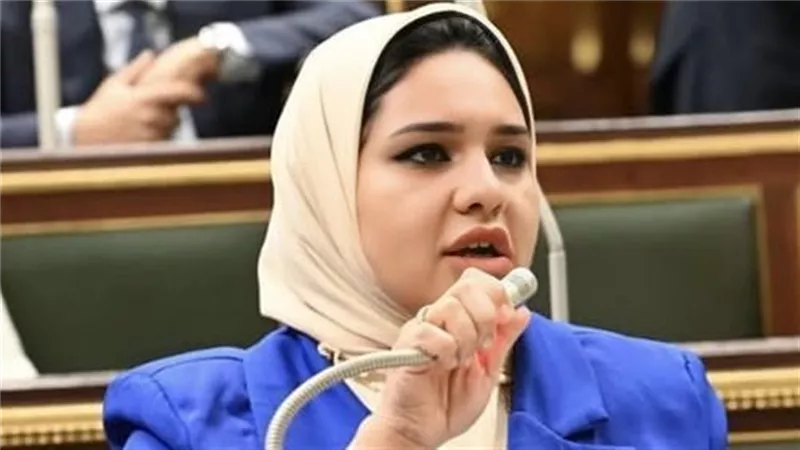 النائبة راوية مختار: الأب يجب أن يكون ثالثًا في الحضانة 