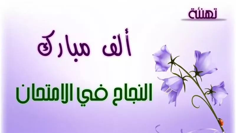  نتيجة الصف الرابع الابتدائي 2026 في الجيزة .. خطوات الاستعلام برقم الجلوس