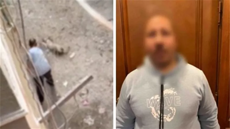 القبض على متهم بالتعدي على كلب بعصا حتى الموت في المعادى