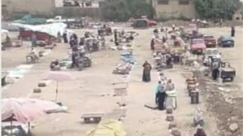 56 عزبة في عزلة.. استغاثة عاجل لمحافظ البحيرة بسبب «غياب المواصلات»