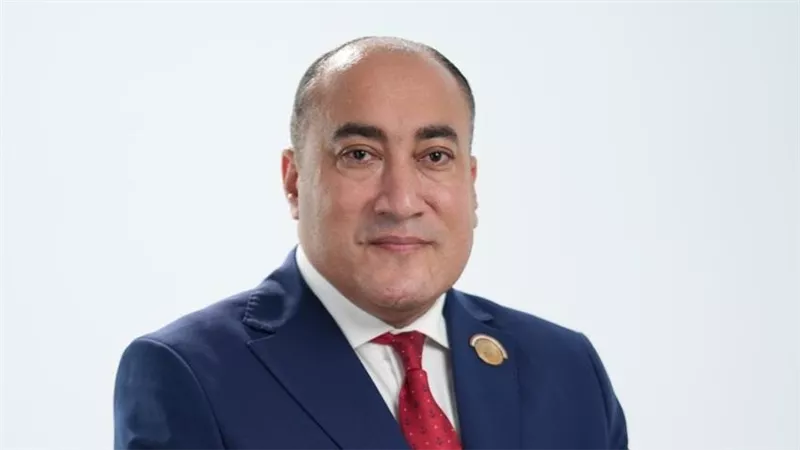 برلماني: لقاء الرئيس وبن زايد يؤكد ثبات الموقف المصري الداعم لأمن الخليج