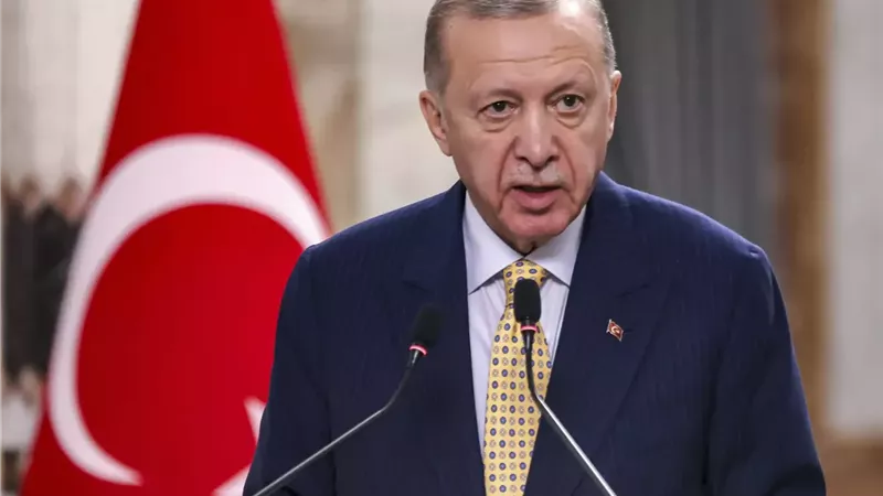 أردوغان: هجمات إيران على دول الخليج غير مقبولة وسنسعى لتسريع الجهود 