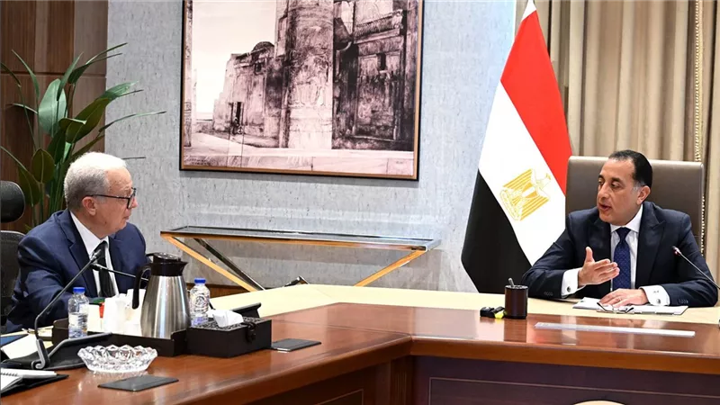 مدبولي: هيكلة الهيئات الاقتصادية والشركات أحد أهم ملفات العمل خلال هذه المرحلة