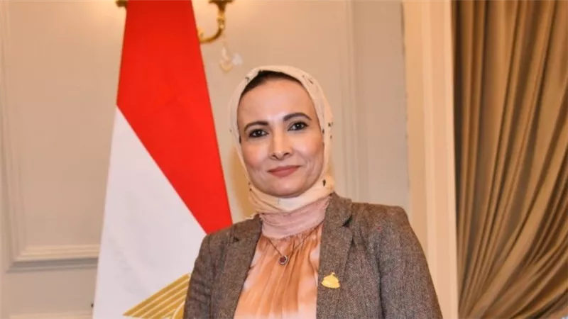 نشوى عقل: التعديل الوزاري خطوة ضرورية لتسريع التنمية وتحسين معيشة المواطنين