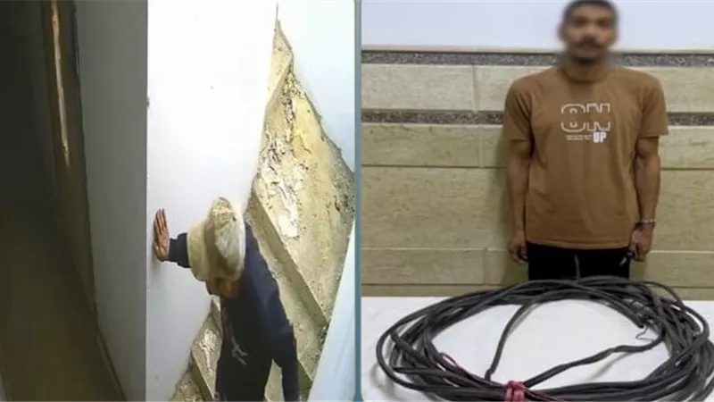 استولى على أسلاك الشقة.. تفاصيل فيديو اتهام عنصر جنائى بسرقة شقة بالزقازيق 